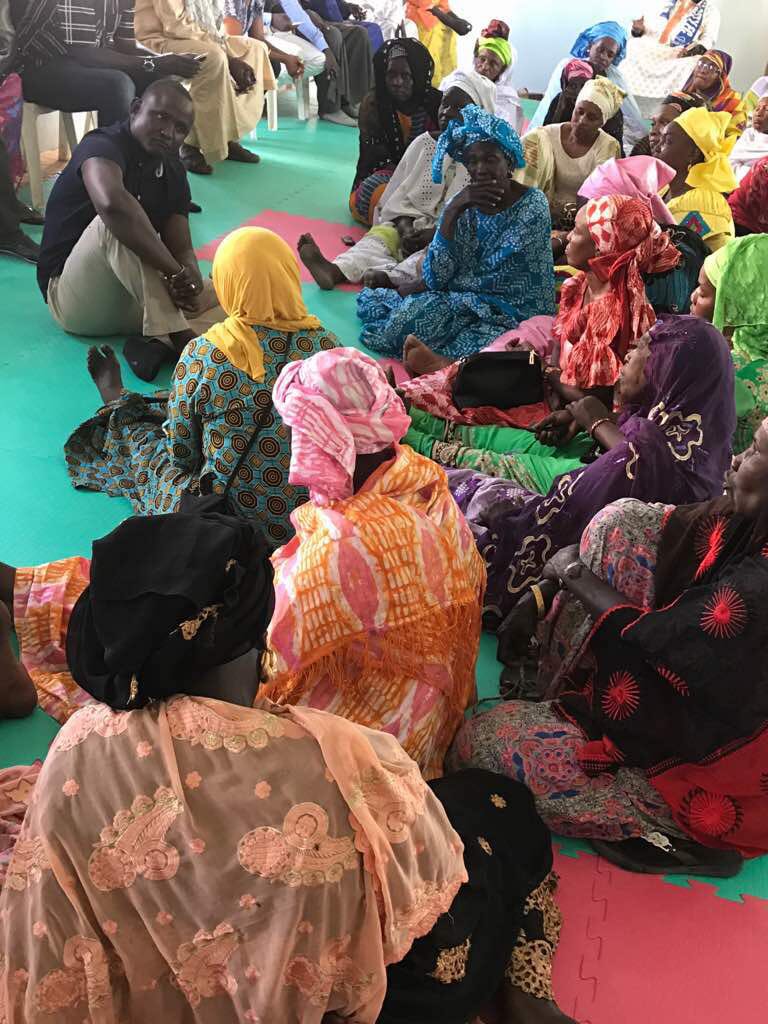 Accès des femmes aux crédits et mécanismes de financement: Réelle volonté politique ou chantage électoral déguisé