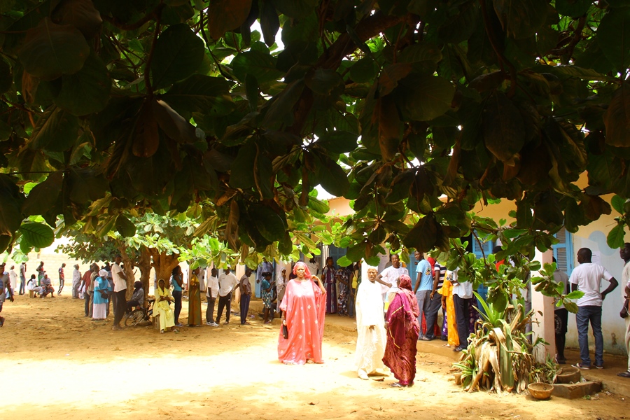 Suivez en DIRECT le scrutin de ce 24 février 2019 au Sénégal