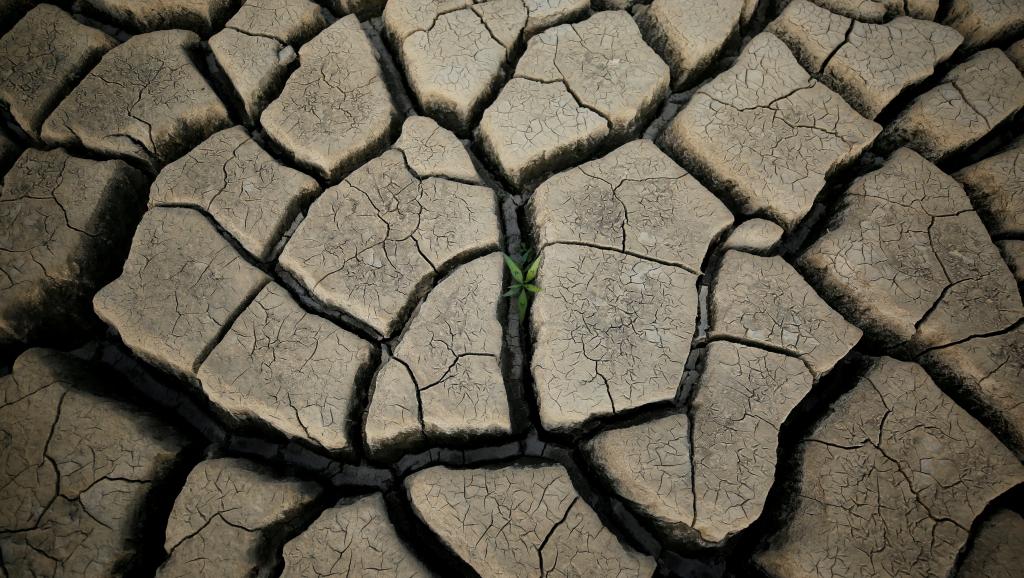 La sécheresse va faire baisser la croissance du Kenya
