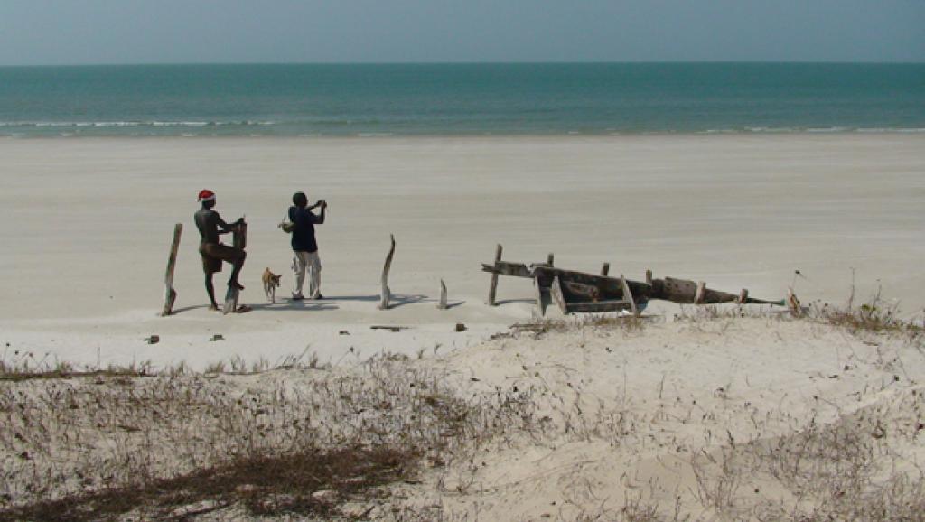Guinée-Bissau: beaucoup de serpents, mais pas de vaccins aux Bijagos