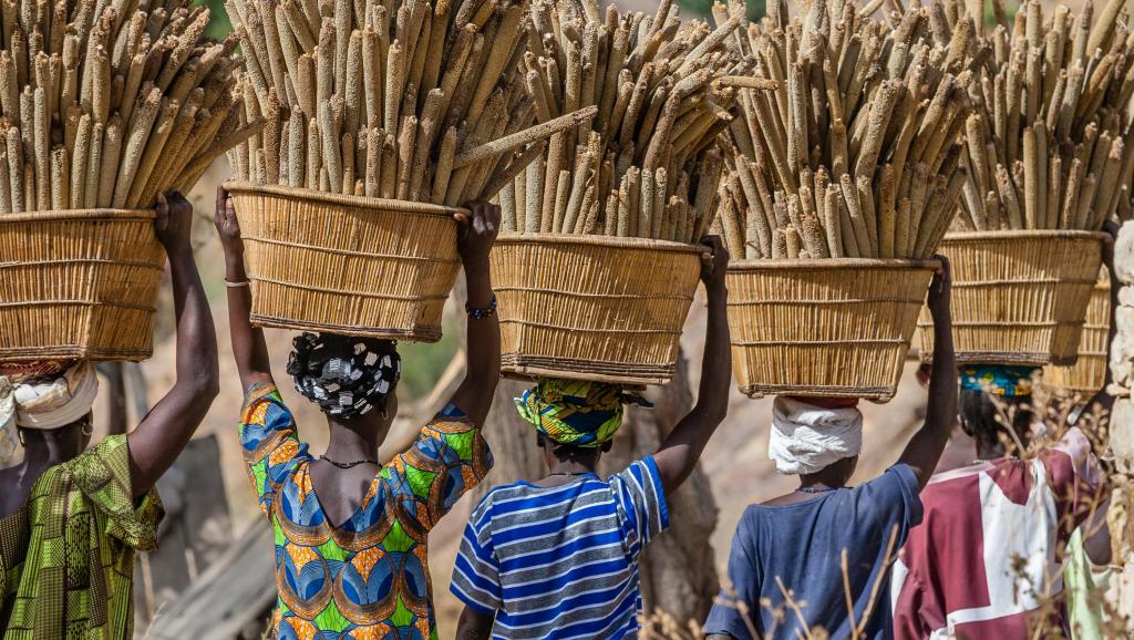 Soutien à l’agriculture mondiale, l’Afrique peut-elle s’en sortir