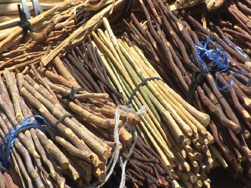 Le business du cure-dent: prospère pour les uns, c'est un bien "sot-métier" pour d'autres