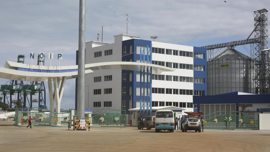 Trafic de bois précieux au Gabon: les suspects nient leur implication