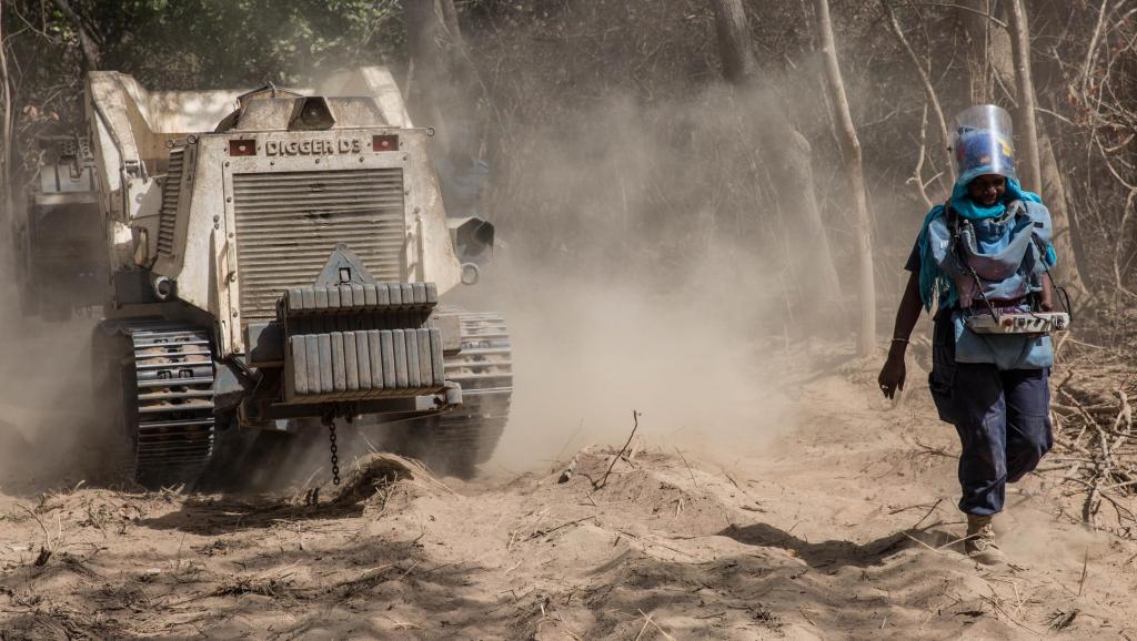 Casamance : Le déminage ne fait pas l’unanimité