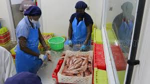 Ocean Fish: une centaine de travailleurs limogés