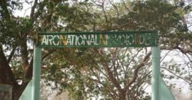 Exploitation illégale de l’or à Niokolo Koba: prévu ce jeudi, le procès a été renvoyé au 21 juillet