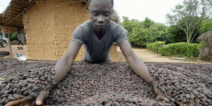 Menace sur le chocolat après la suspension des ventes de cacao du Ghana et de la Côte d’Ivoire