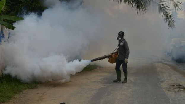Des moustiques OGM libérés au Burkina Faso