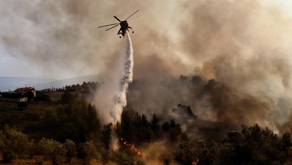 Algérie: le nord du pays ravagé par plusieurs incendies