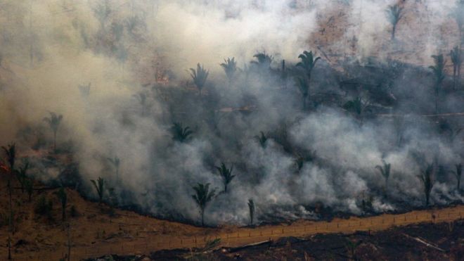 Incendies en Amazonie : L'Angola et la République démocratique du Congo "ont plus de foyers"