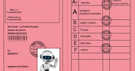 Les détenteurs de permis à papier ont désormais jusqu’à la fin de  l'année pour se procurer les nouveaux permis