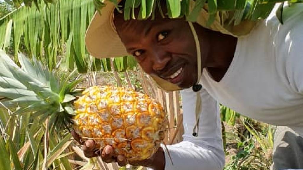 La ferme Nova au Tchad