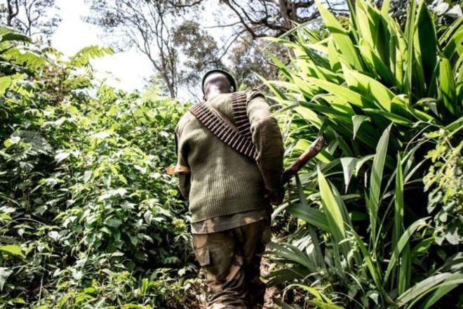 Plus de 900 victimes de violences sexuelles en RDC en un an