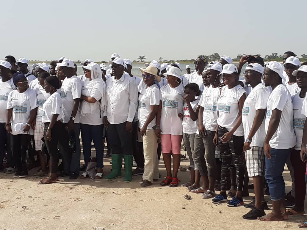 Environnement : plus de 27 000 palétuviers plantés dans la mangrove de Palmarin