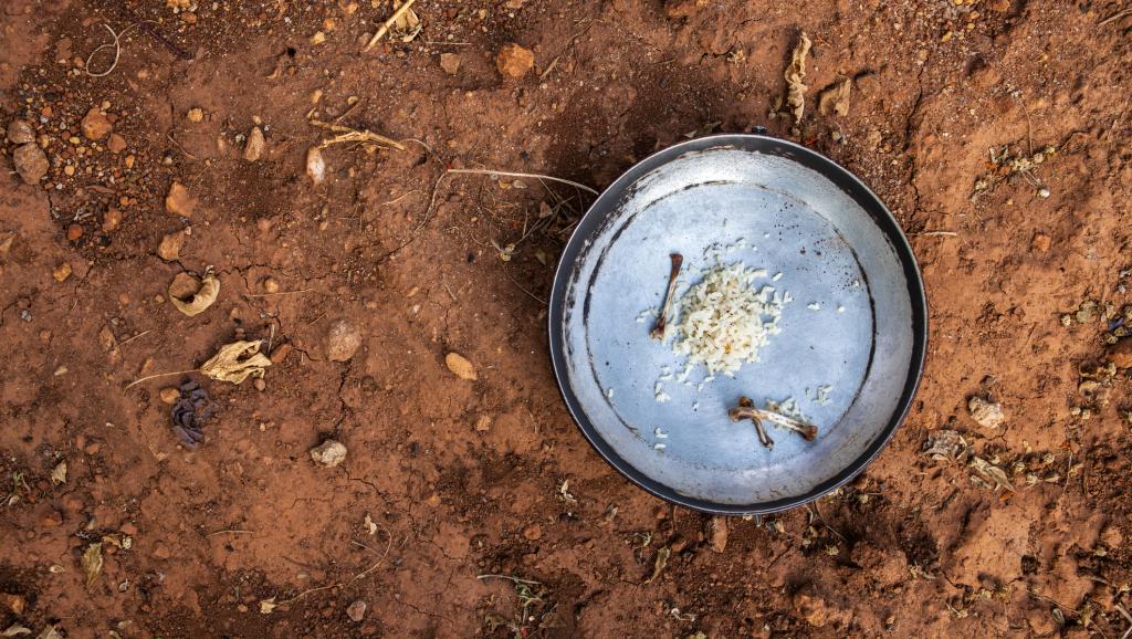 La Centrafrique et Madagascar parmi les pays les plus touchés par la faim