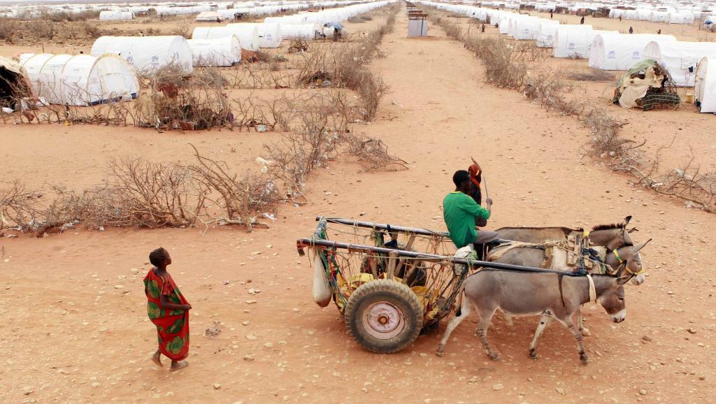 Une nouvelle sécheresse dans la Corne de l'Afrique inquiète les humanitaires