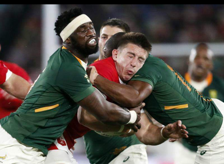 Mondial de Rugby : les Sud-Africains éliminent les Gallois et rejoignent l’Angleterre en finale