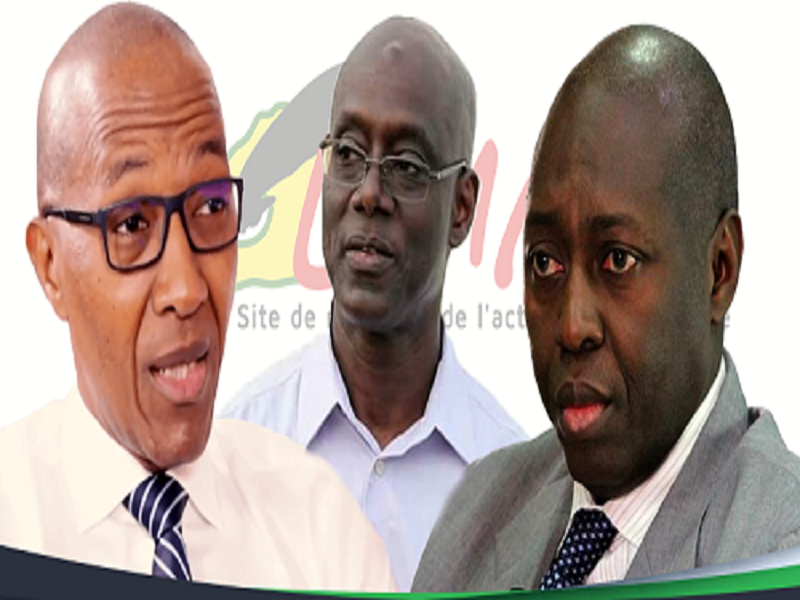 Affaire Frank Timis- Aliou Sall  : le Cdr saisit la Chambre d'accusation