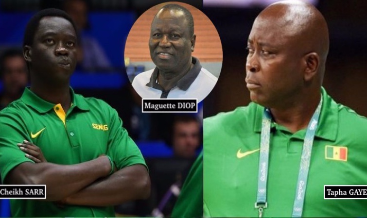 Basket –  Maguette Diop remercié de la DTN, Cheikh Sarr limogés