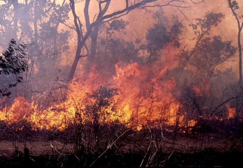 Un feu est en train de ravager le village de Diamagadio (Kaffrine) 
