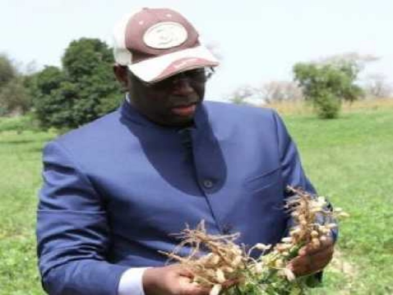 #AdresseALaNation2019 - Macky Sall fixe le kilogramme de l'arachide
