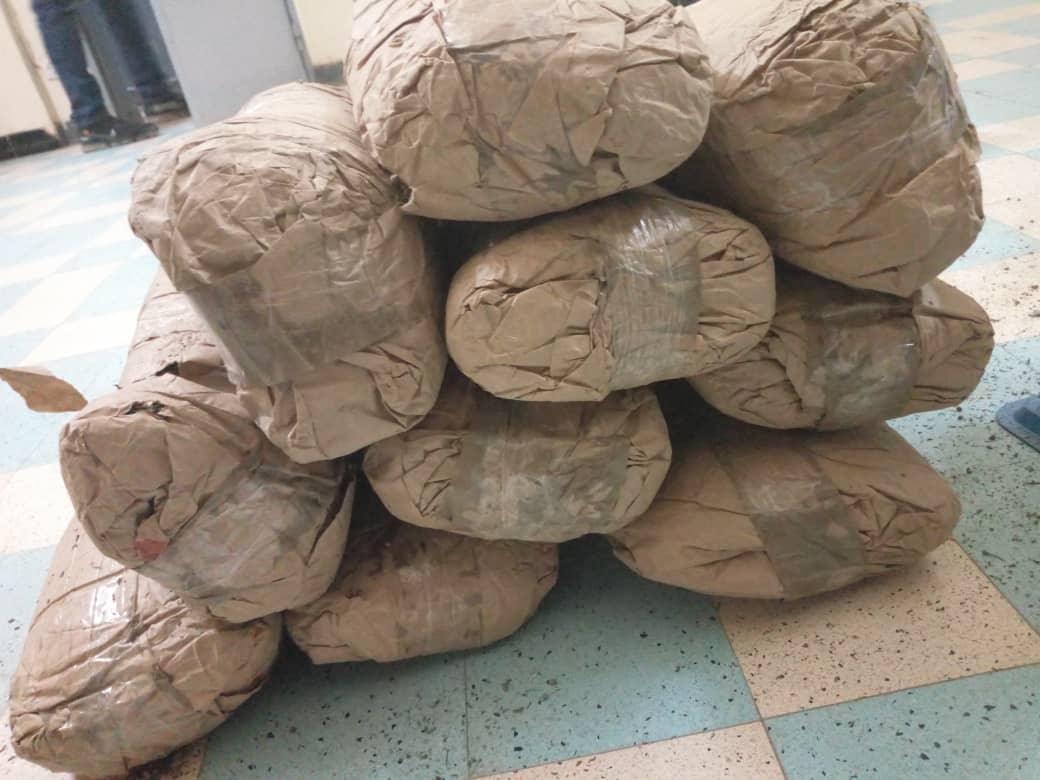 ​Lutte contre le trafic de drogue : 1 kg de cocaïne saisi à Ziguinchor