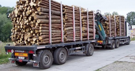 Trafic illicite de bois: deux camions gambiens interceptés à Sindian