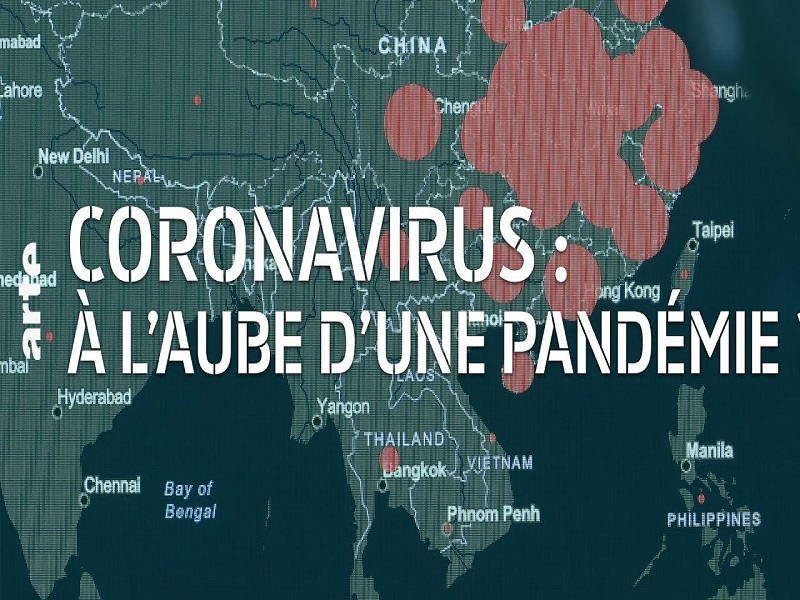 La pandémie de coronavirus paraît inéluctable