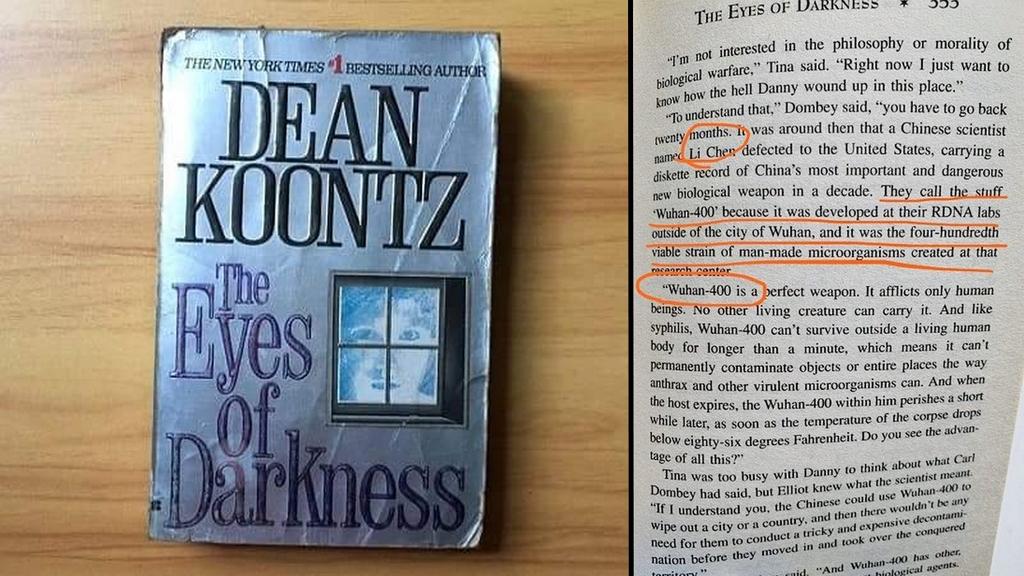 "Wuhan-400" : un roman de 1981 a-t-il prédit l'épidémie de coronavirus ?