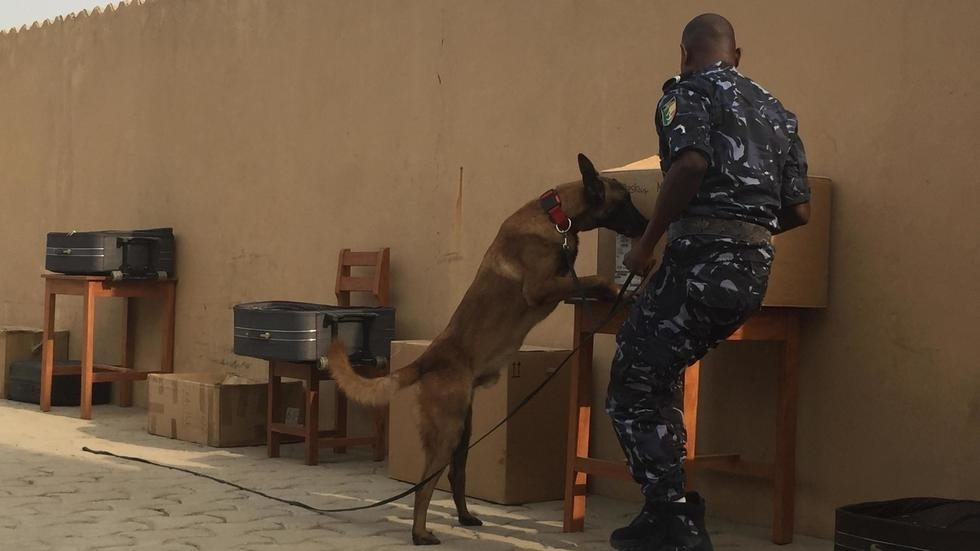 Au Bénin, la brigade canine se renforce et se modernise