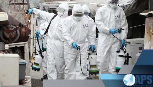 #Covid_19_Sénégal - La courbe est stable et le virus pour le moment maîtrisable par les autorités sanitaires, selon le Dr Ndour