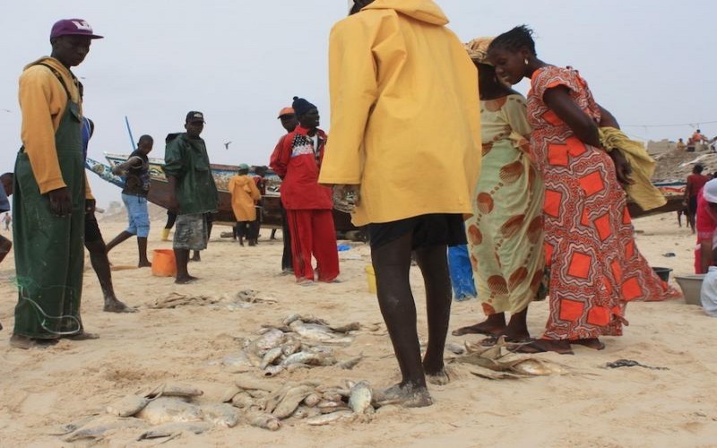 Coronavirus Sénégal: Les petits métiers déjà affectés à Mbour