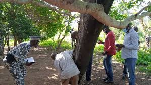 Débris géants tombés du ciel en Côte d'Ivoire: l'enquête est en cours