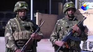 ​L’Algérie envisage-t-elle de faire évoluer sa doctrine militaire?