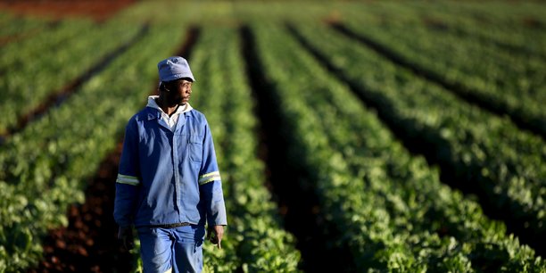 Un financement de 54 milliards pour l'entrepreneuriat agricole des jeunes sénégalais