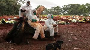 Covid-19 : le nombre mondial de cas a dépassé la barre des 10 millions