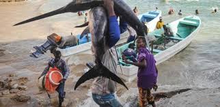 Les eaux somaliennes, eldorado de la pêche illégale