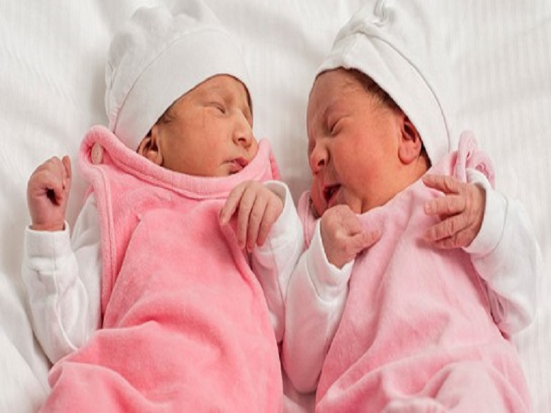 Brésil : le chien d`une famille tue les deux jumelles âgées de 26 jours