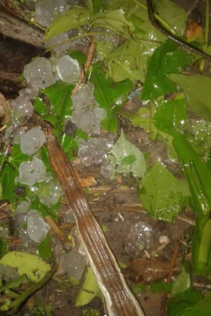 Vidéo et Photos - Il a plu de gros morceaux de glace à Oussouye