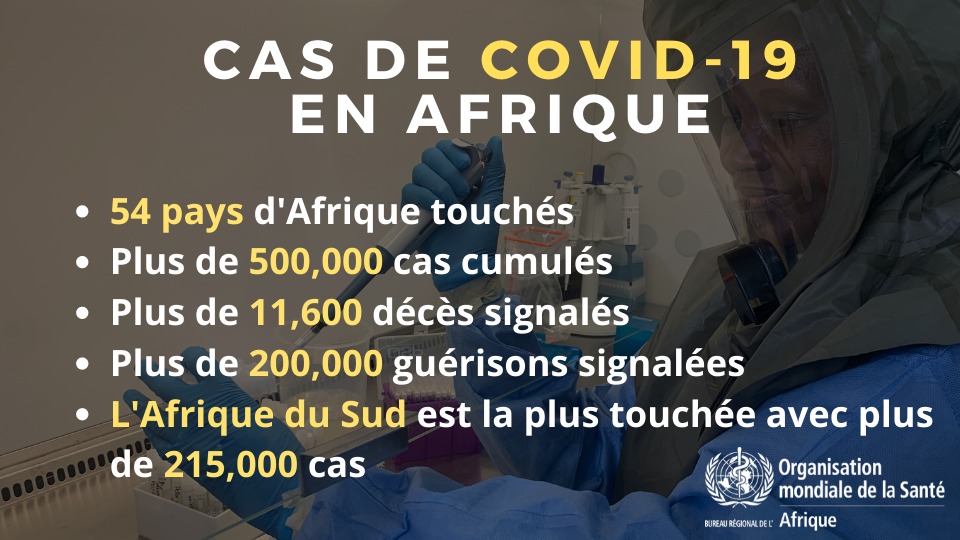 Plus 500 000 cas de #Covid-19 confirmés en Afrique, l'Oms évoque une inquiétude grandissante