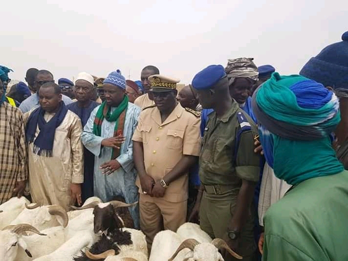 Prix élevés des moutons: les clients jouent la montre, le ministre de l'Elevage conseille d'acheter tôt