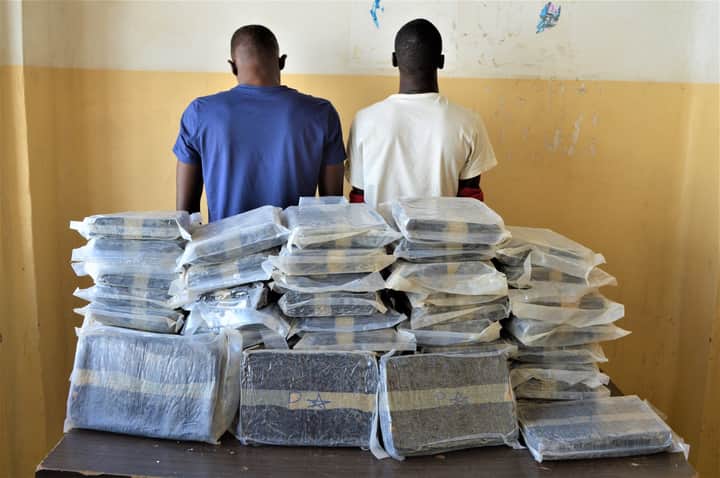 Sédhiou: 55 kg de chanvre indien saisis par la Brigade régionale des stupéfiants