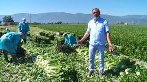 Frappé par le Covid-19, le secteur agricole italien à la peine