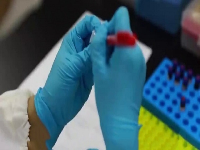 Gambie : trois (3) ministres testés positifs au Coronavirus