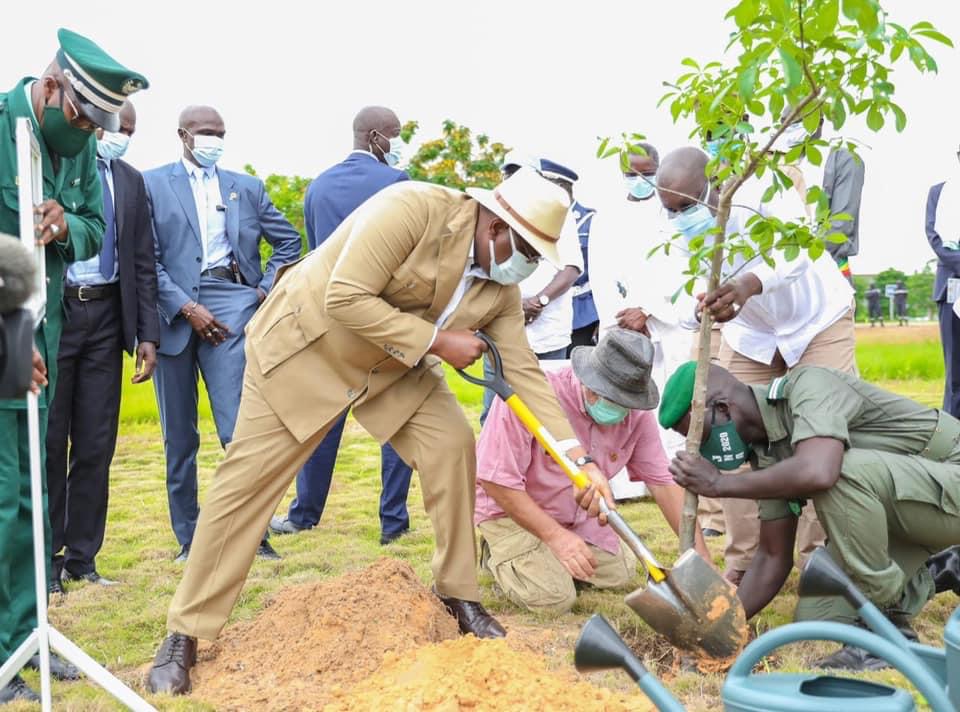 Journée internationale de l’Environnement: Macky plante son baobab et appelle les Sénégalais au reboisement