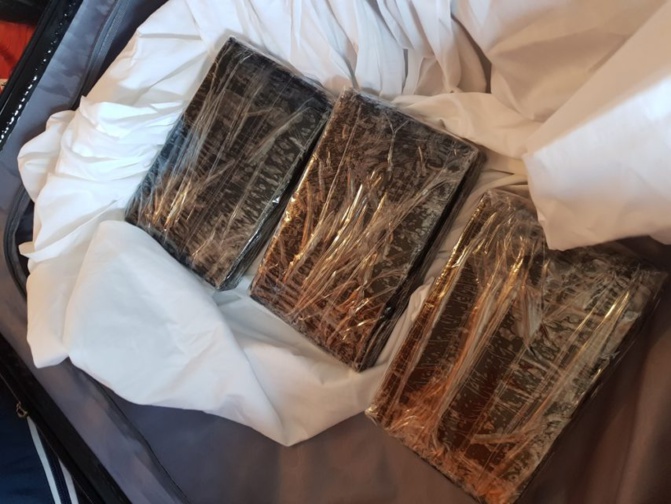 Sédhiou: 110 kilogrammes de chanvre indien saisis 