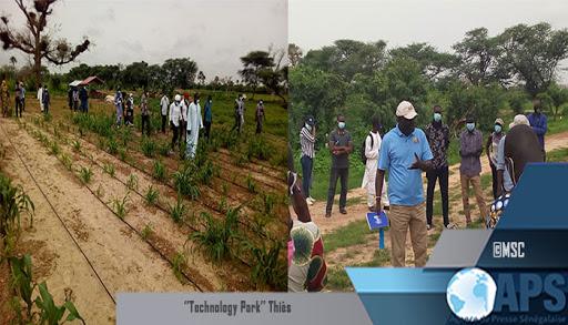 Nouvelles variétés agricoles au Sénégal: un parc d’innovations installé à Thiès