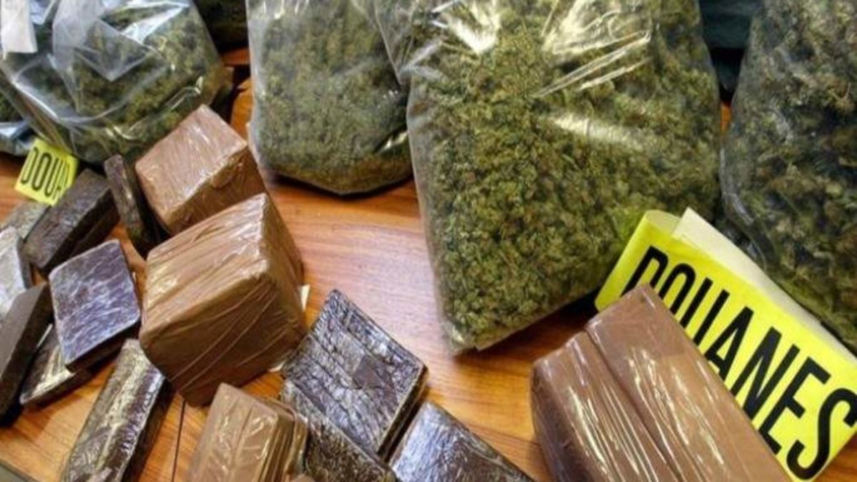 304 kilogrammes de chanvre indien saisis à Mbour par les douaniers