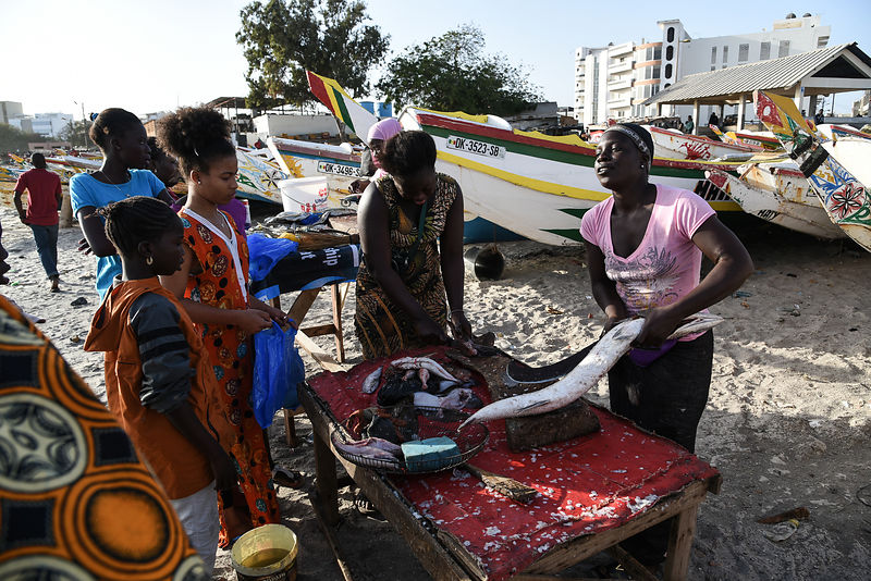 Crédit photo: Nicolas Réméné
