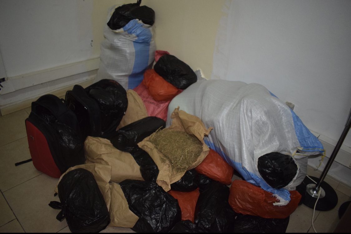 La police interpelle 7 individus et saisit 68 kg de chanvre indien chez eux